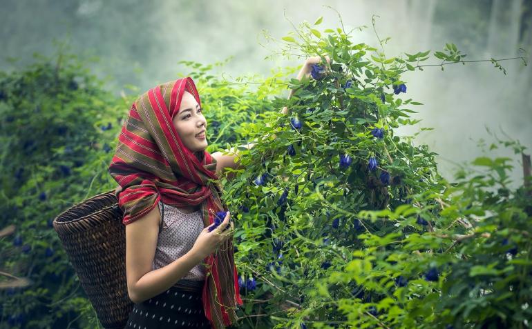 ডিজিটাল প্রযুক্তি শুধু নাগরিক জীবনযাত্রায় স্বাচ্ছন্দ্য এনে দিচ্ছে না৷ গ্রামের চাষিরাও হাতেনাতে এর সুফল পাচ্ছেন৷ বাংলাদেশে এমনই কিছু উদ্যোগের ফলে ফসল সংক্রান্ত অনেক সমস্যার সহজ সমাধান পাওয়া যাচ্ছে৷