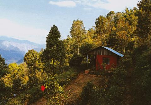 গ্রামের নাম ছিবো 