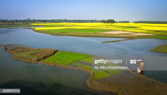 কৃষক ও খামারিদের বাঁচানো প্রয়োজন