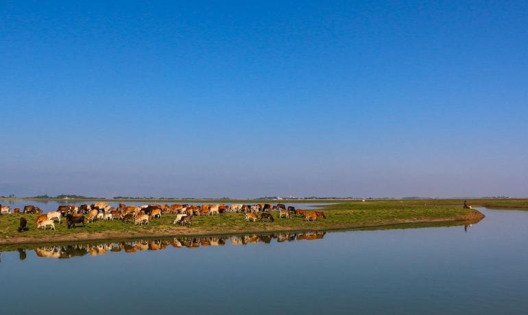 বাংলাদেশে টেকসই ফাইন্যান্স (Sustainable Finance Bangladesh) দ্রুত বৃদ্ধি পাচ্ছে।