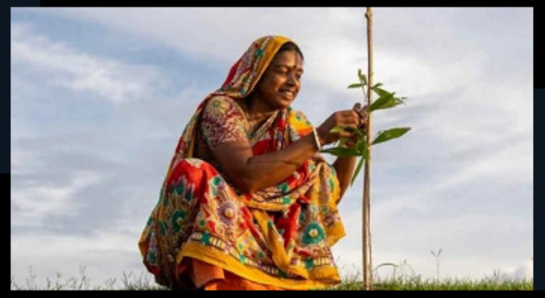 সবুজ অর্থায়ন ও নারী- নেতৃত্বাধীন
