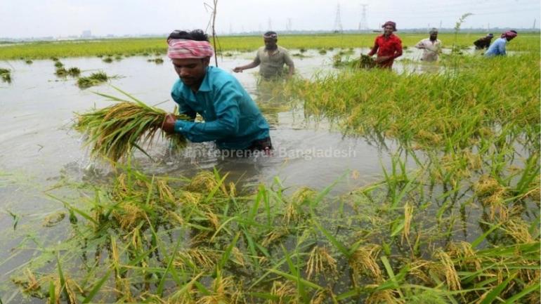 ---