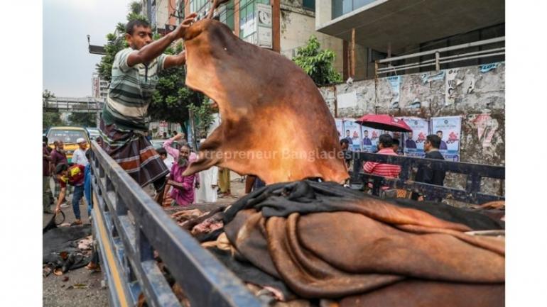 ৫৫-৬৫ লাখ চামড়া সংগ্রহের লক্ষ্য