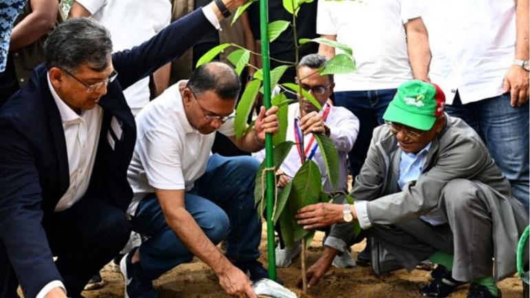 দেশব্যাপী ২৫ কোটি বৃক্ষরোপণ কর্মসূচির উদ্বোধন প্রধানমন্ত্রীর