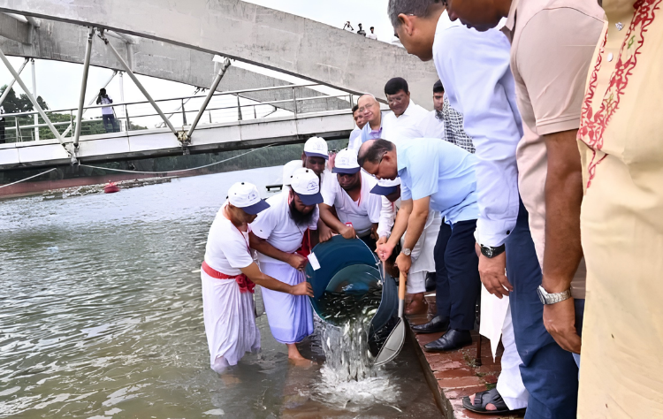 বিএনপির ৪৮তম প্রতিষ্ঠাবার্ষিকীতে জিয়া উদ্যানের লেকে পোনা মাছ অবমুক্ত করেন দলের চেয়ারম্যান ও প্রধানমন্ত্রী। ছবি: সংগৃহীত