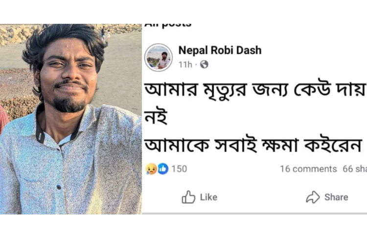 ---